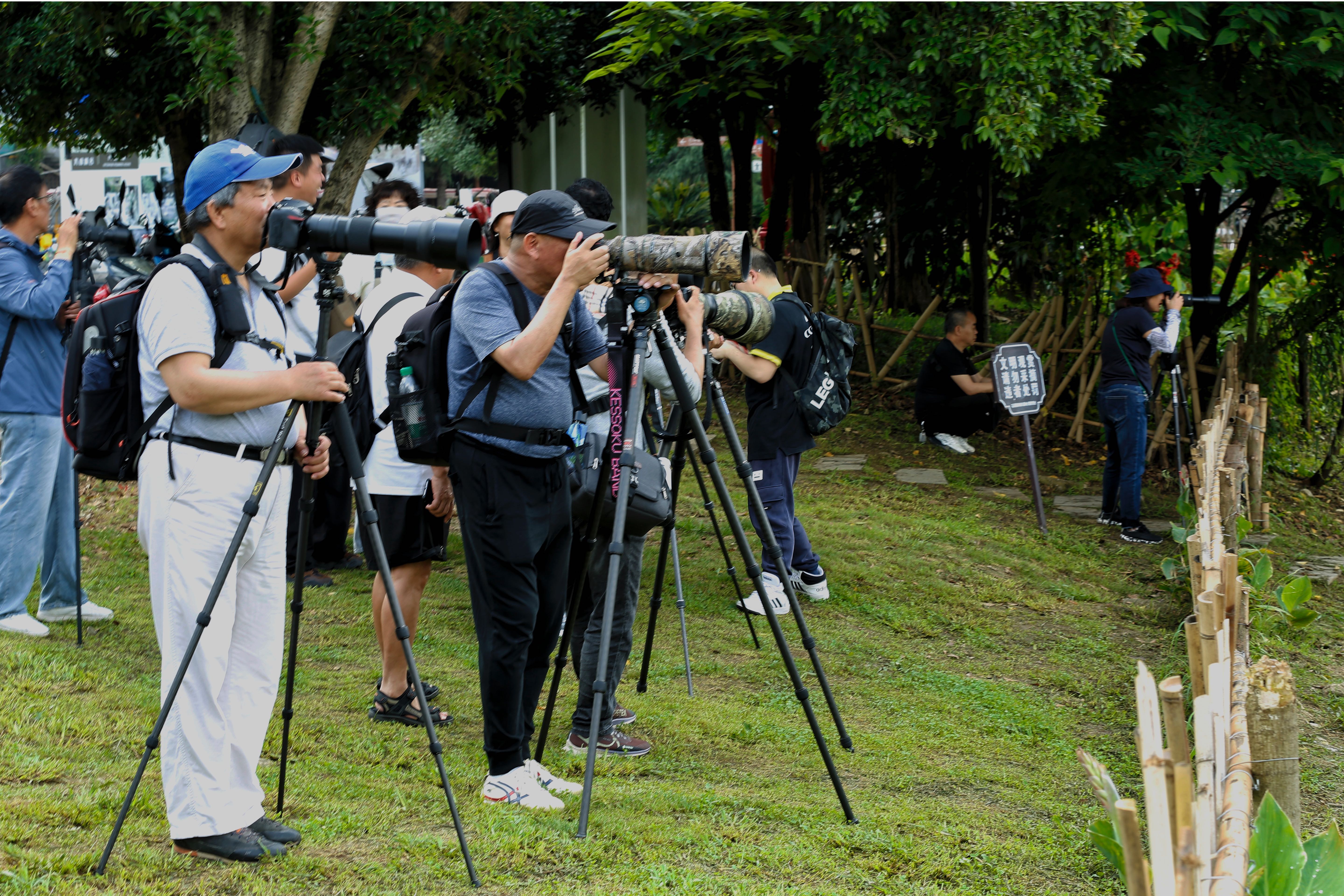 placeholder image sq